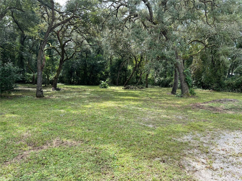 4817 Cr 686 Webster FL 33597 G5088428 image1