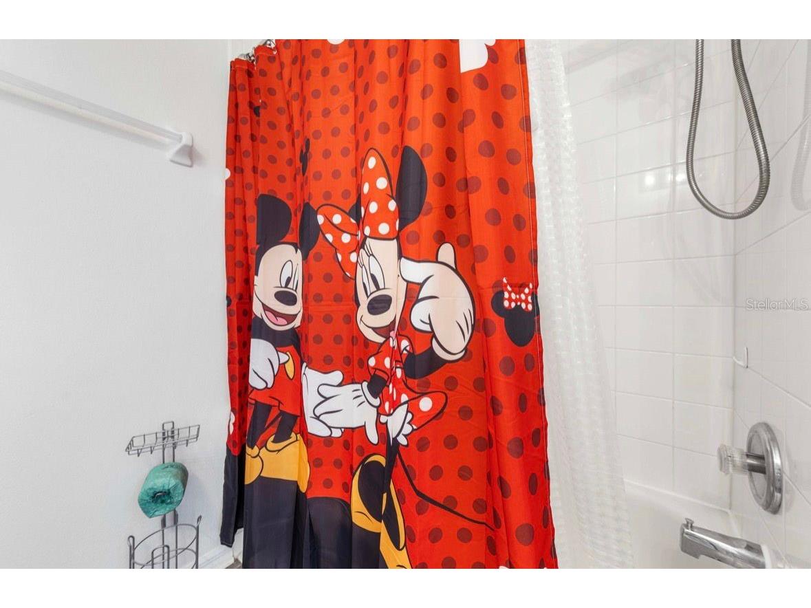4817 Cumbrian Lakes Drive Kissimmee FL 34746 TB8523903 image19