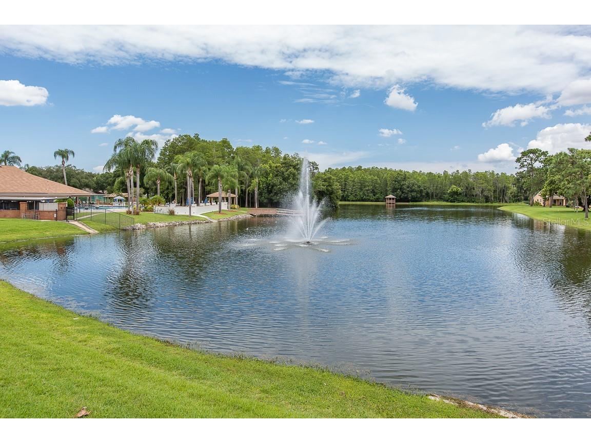 4817 Grist Mill Circle #4817 New Port Richey FL 34655 W7885935 image42