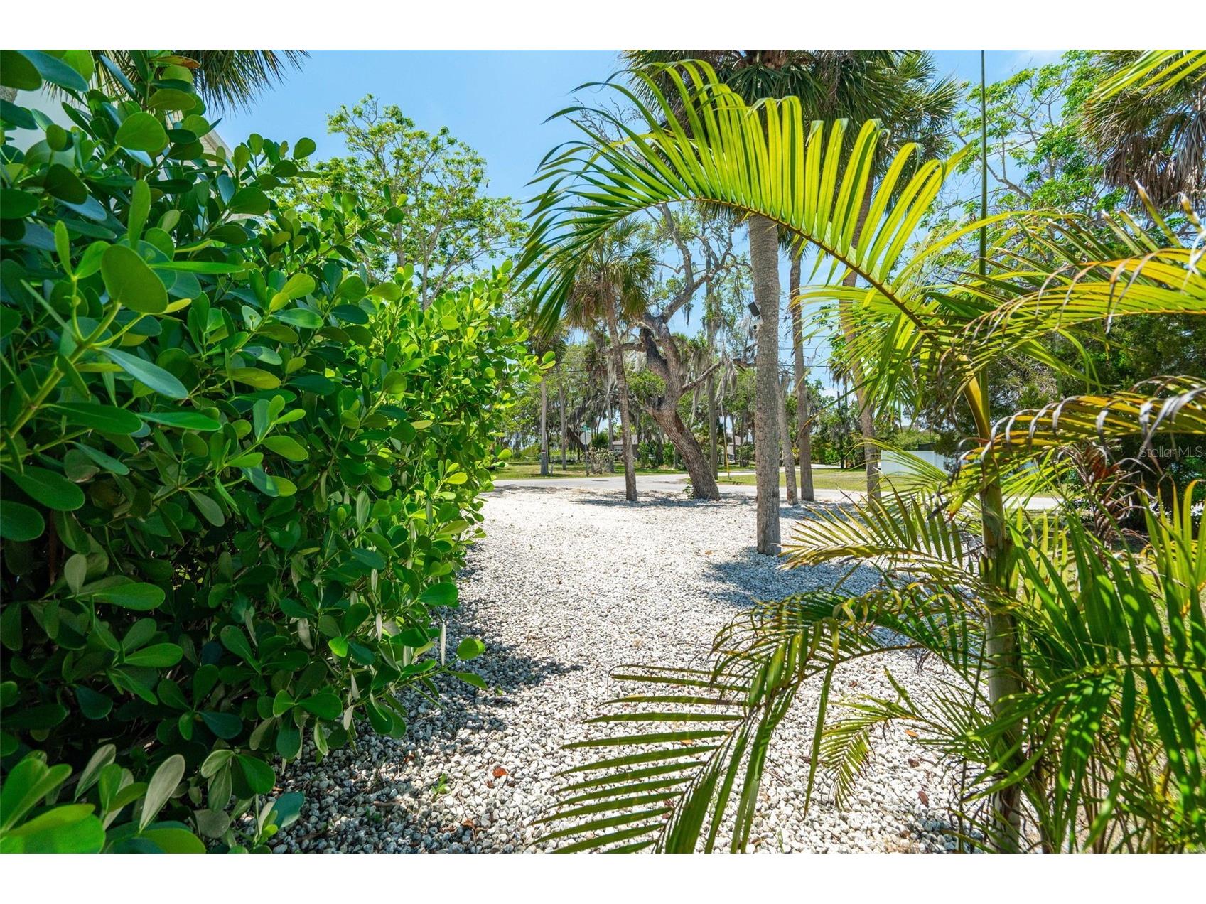 4817 Limestone Drive Port Richey FL 34668 W7885513 image53