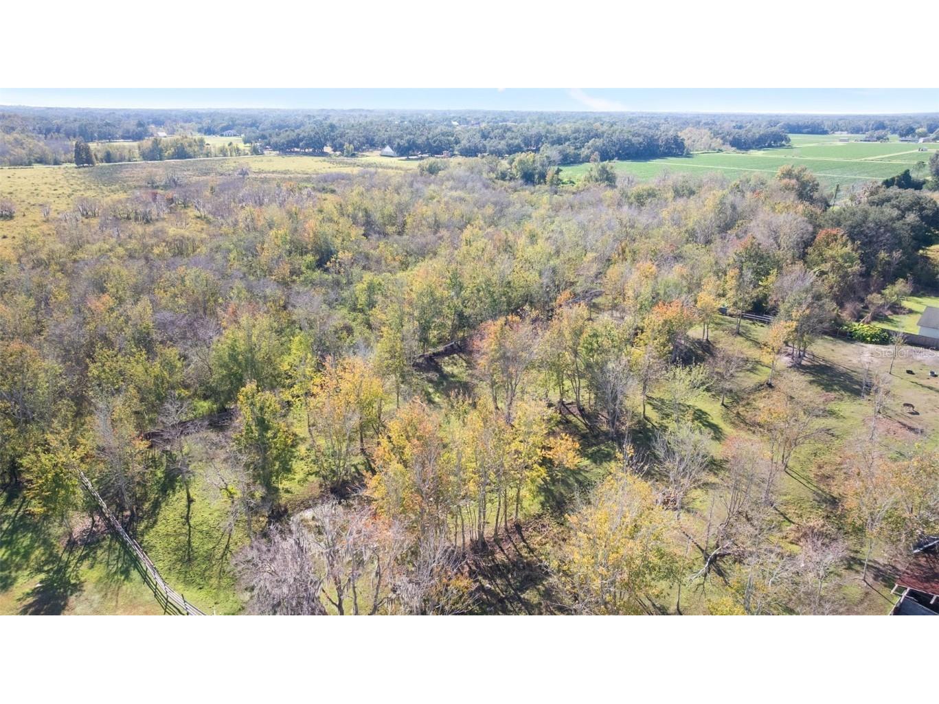 4817 Miley Road Plant City FL 33565 TB8441804 image48