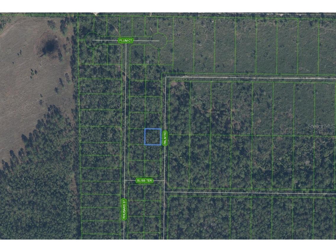 4817 Palm Road Sebring FL 33875 L4957136 image1