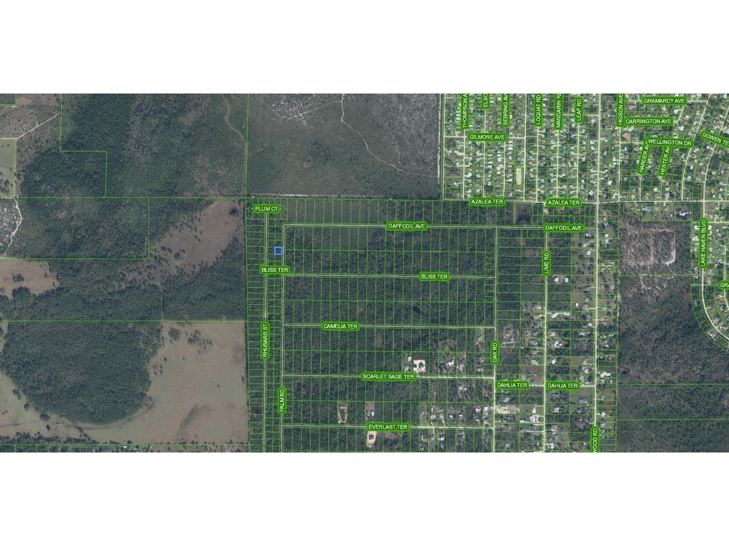 4817 Palm Road Sebring FL 33875 L4957136 image3