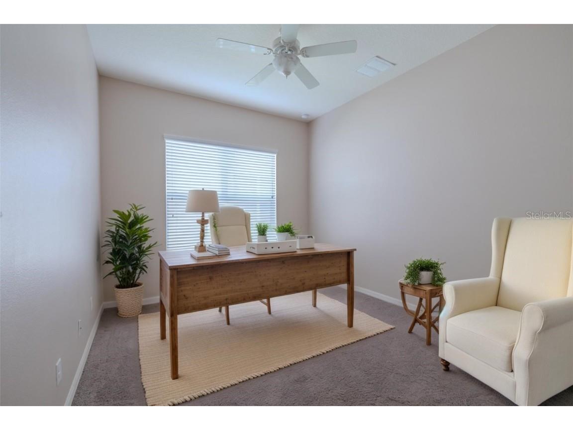 4817 Sandy Glen Way Wimauma FL 33598 TB8419331 image42