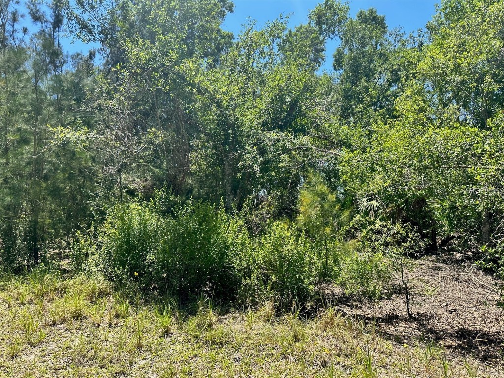 4817 SE Wheat Avenue Arcadia FL 34266 C7474445 image1