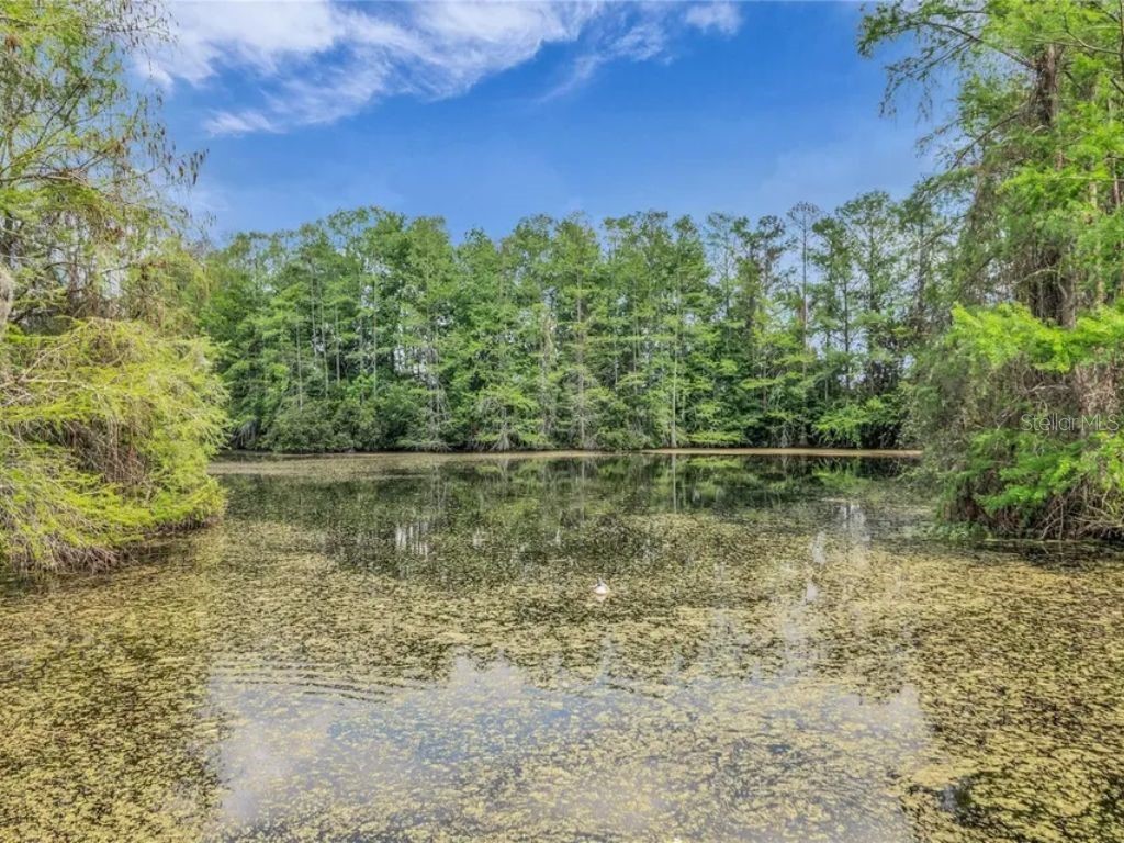 4818 S Semoran Boulevard #503 Orlando FL 32822 S5147842 image23