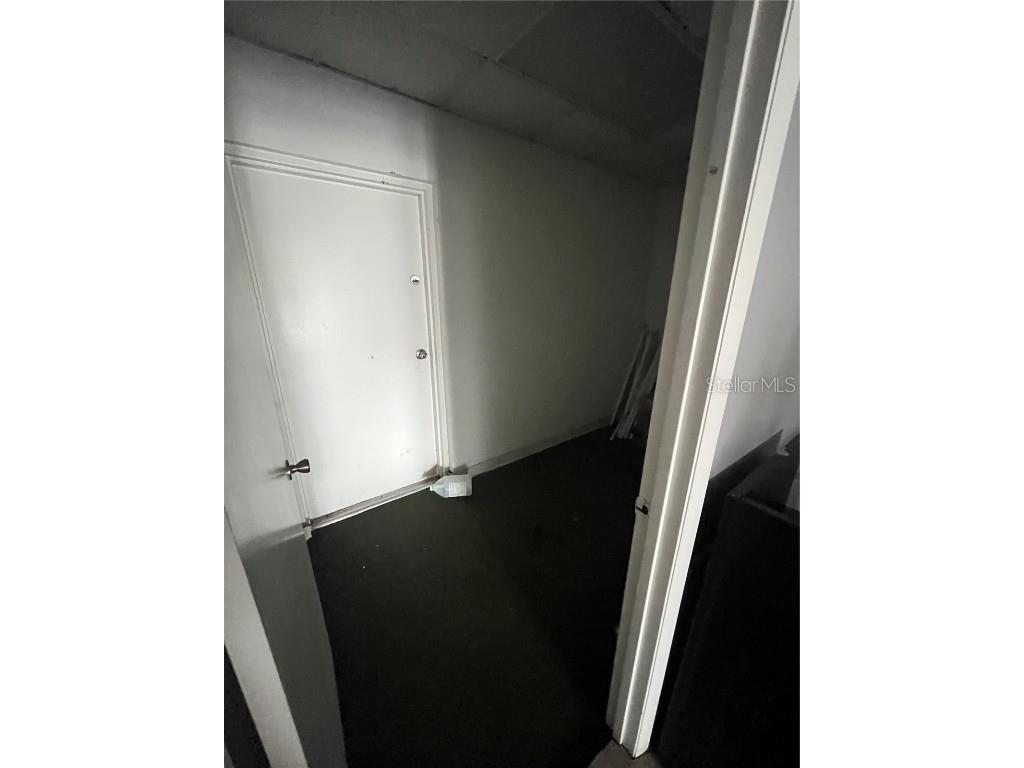 4819 E Busch Boulevard Tampa FL 33617 TB8387737 image27