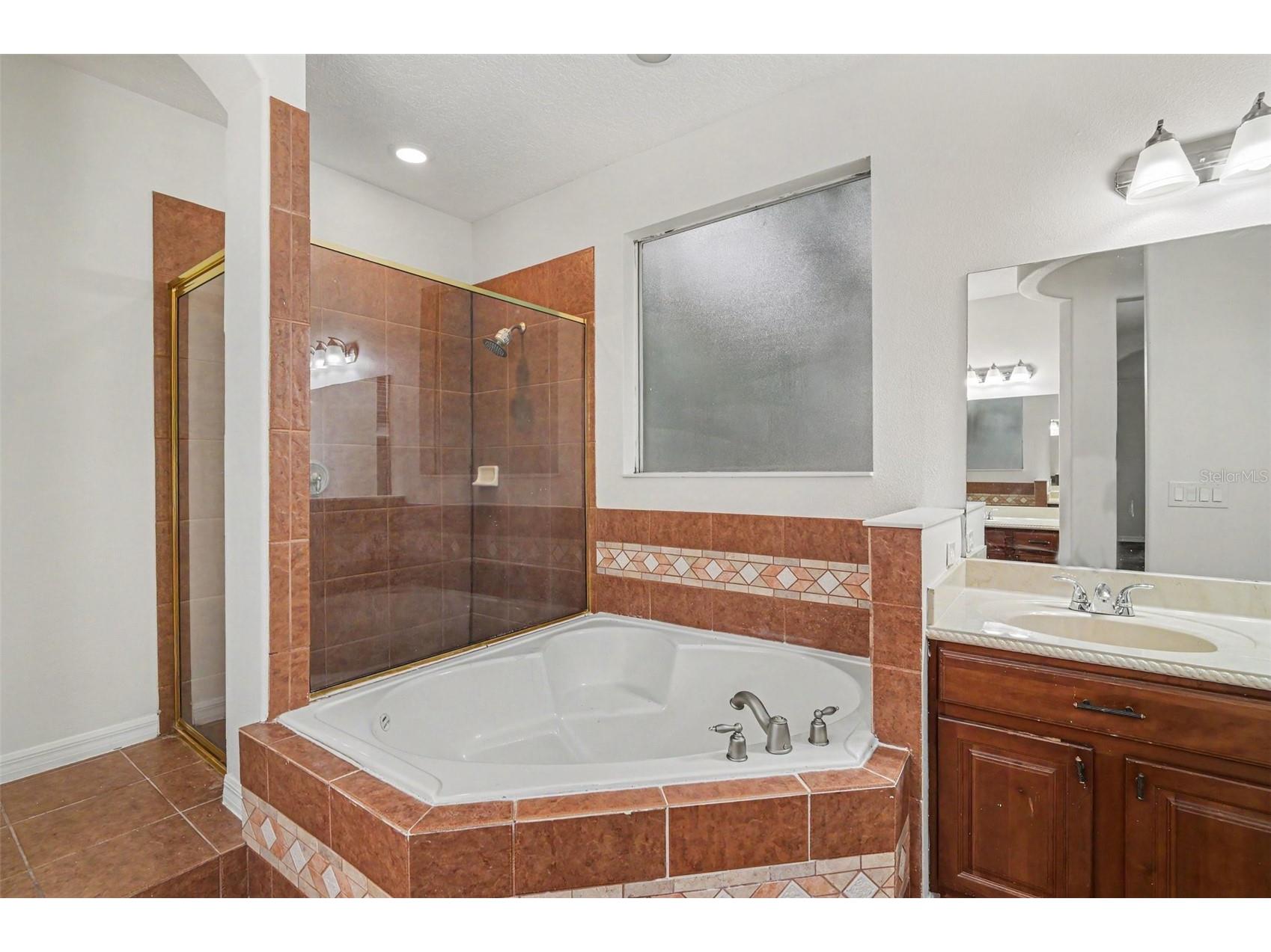 4819 Indian Deer Road Windermere FL 34786 O6403960 image24