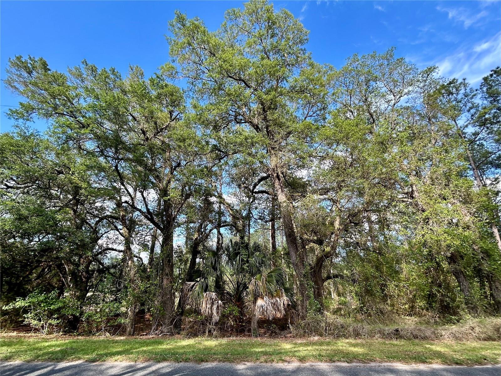 4819 NE 211th Drive Earleton FL 32631 GC540071 image1