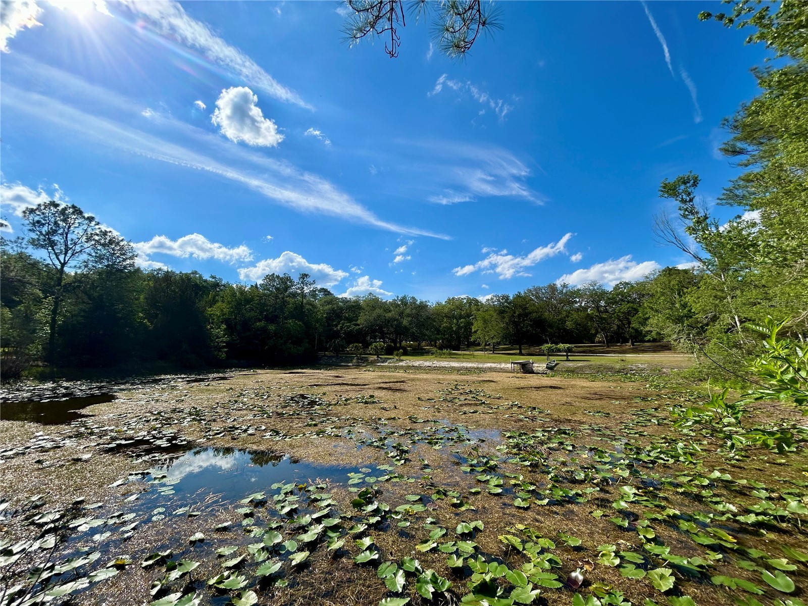 4819 NE 211th Drive Earleton FL 32631 GC540071 image4