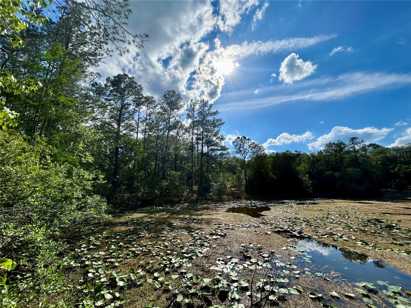 4819 NE 211th Drive Earleton FL 32631 GC540071 image5