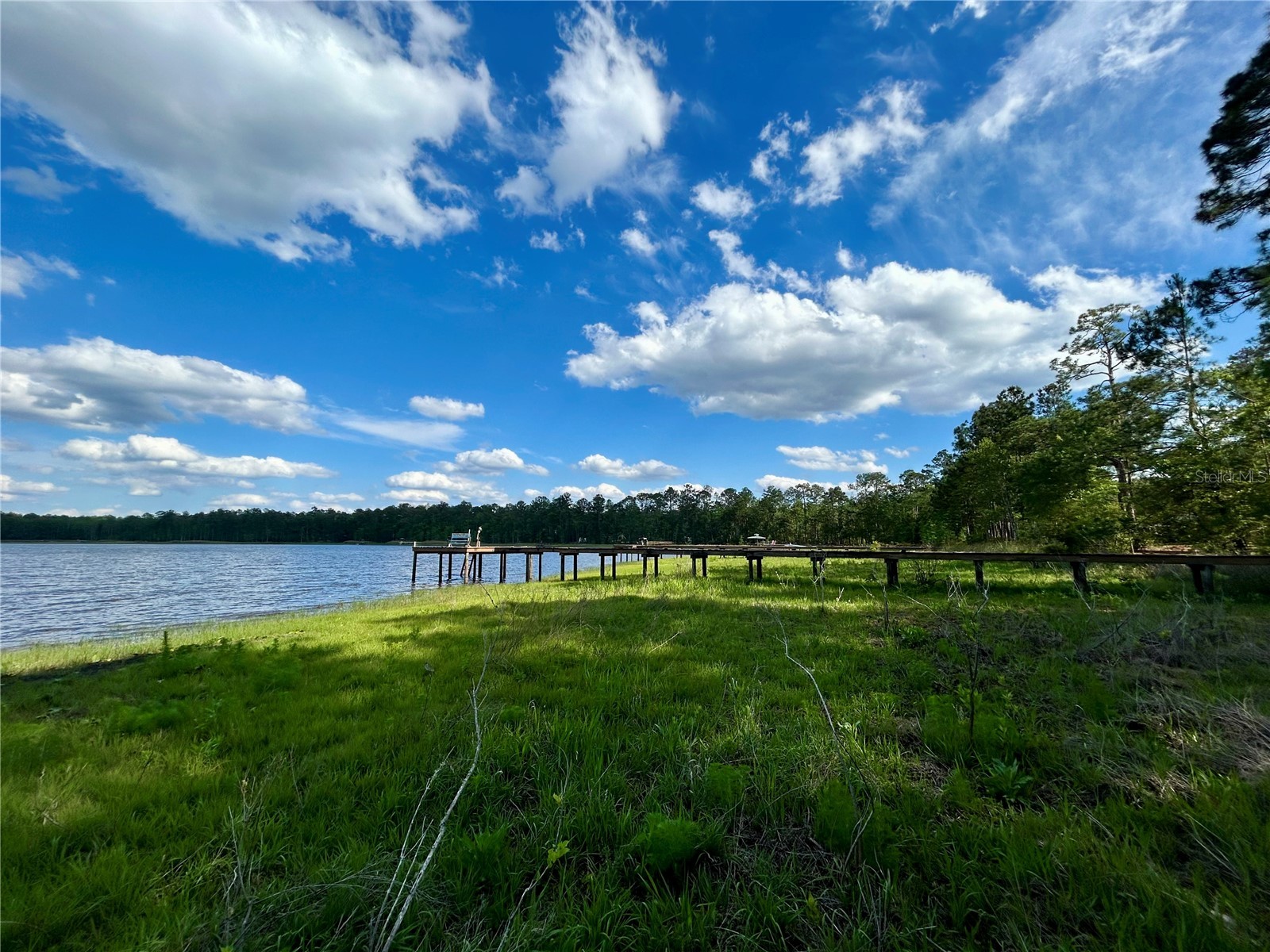 4819 NE 211th Drive Earleton FL 32631 GC540071 image7