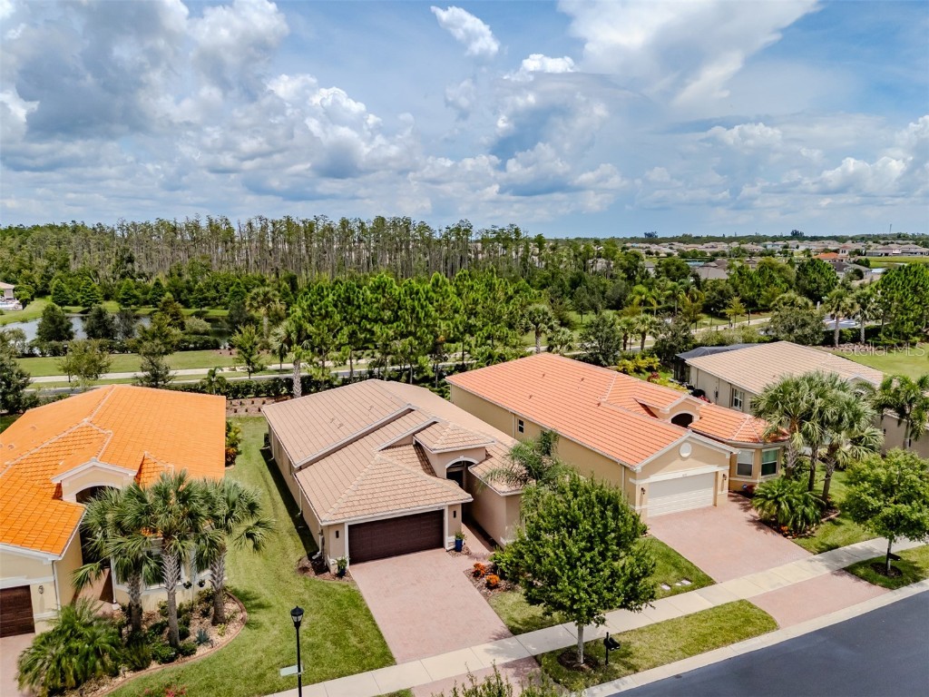 4820 Grand Banks Drive Wimauma FL 33598 TB8413688 image50