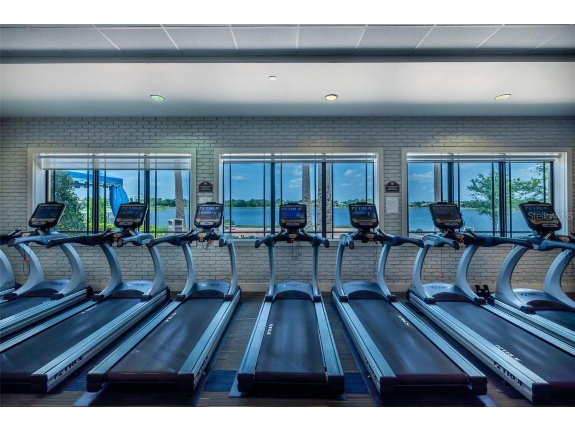 4820 Grand Banks Drive Wimauma FL 33598 TB8413688 image64