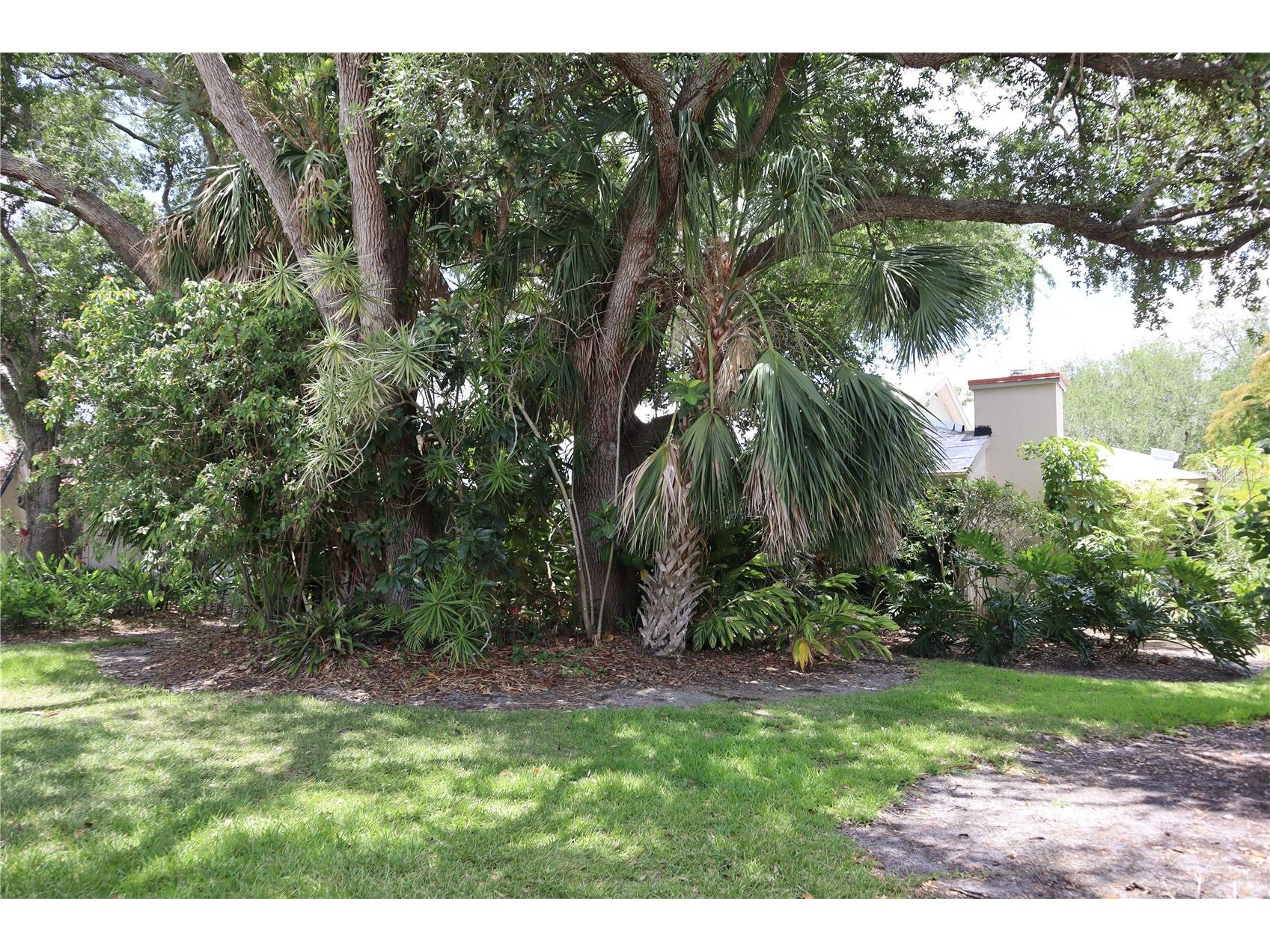 4820 Kestral Park Circle #18 Sarasota FL 34231 A4694438 image20