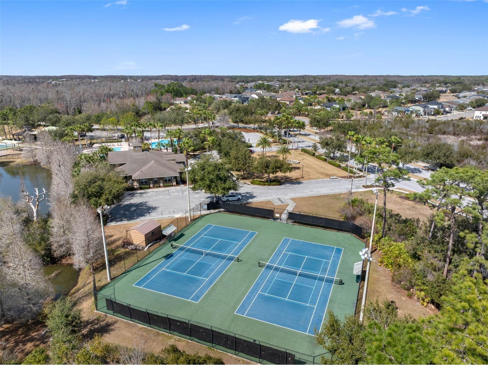 4820 Portmarnock Way Wesley Chapel FL 33543 TB8478421 image39
