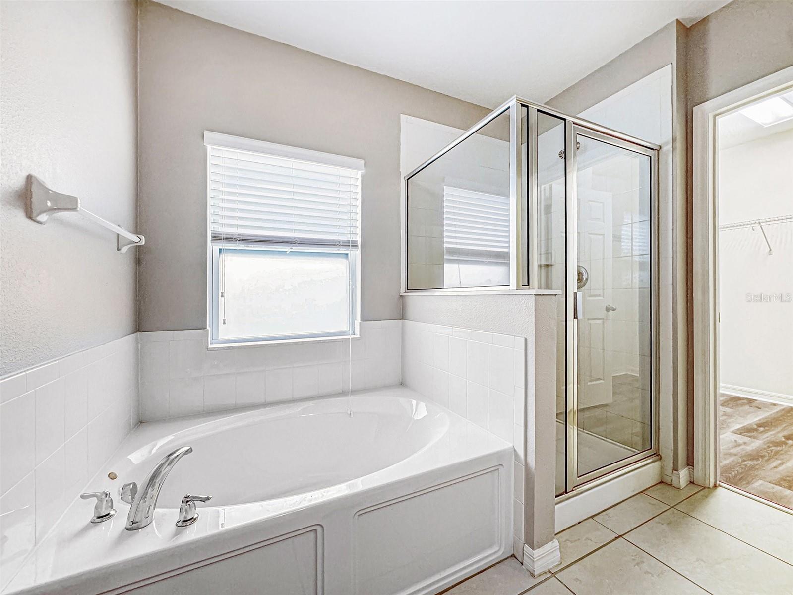 4820 Rockvale Drive Kissimmee FL 34758 TB8461639 image19
