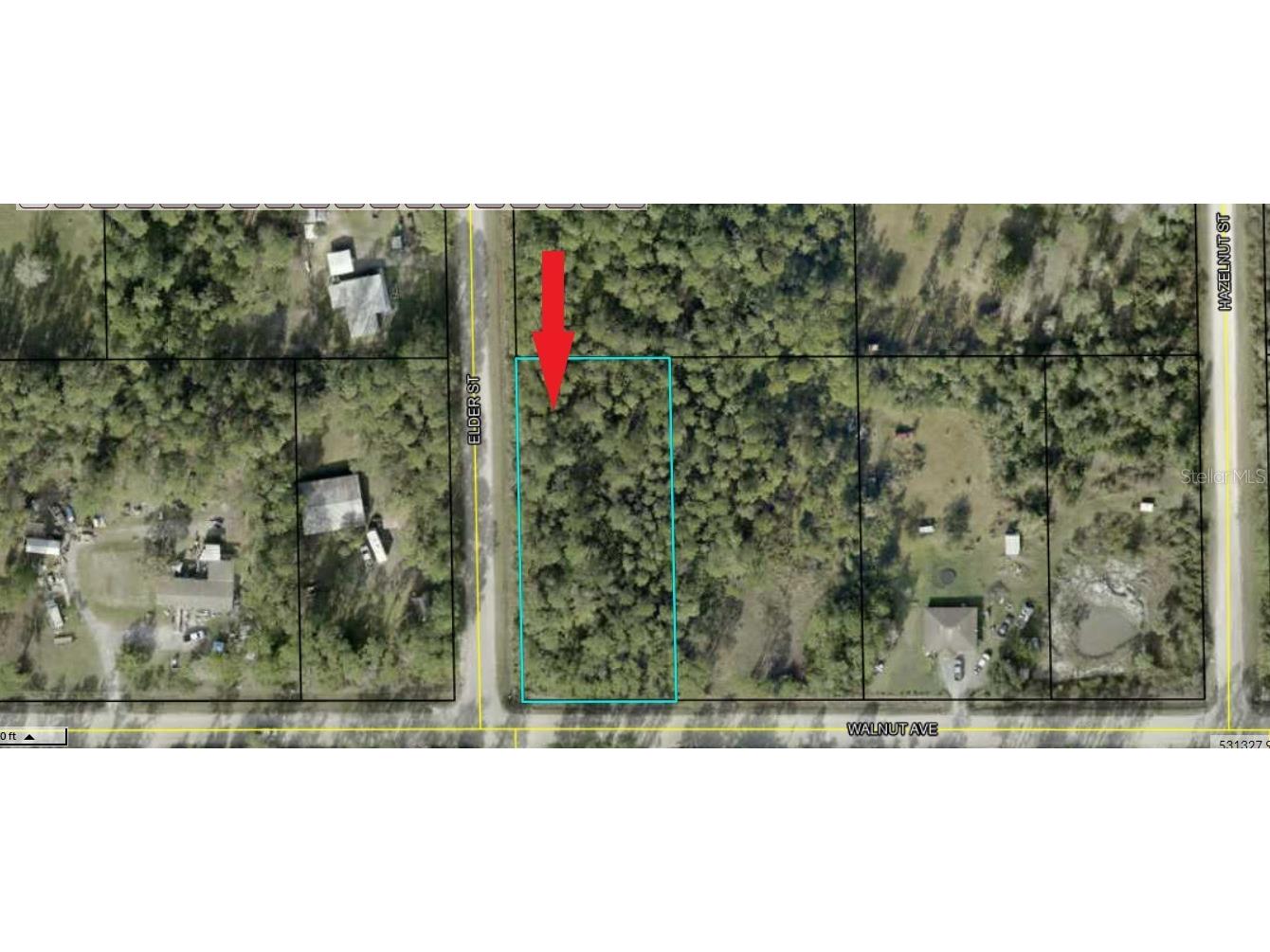 4820 Walnut Avenue Bunnell FL 32110 FC292328 image1