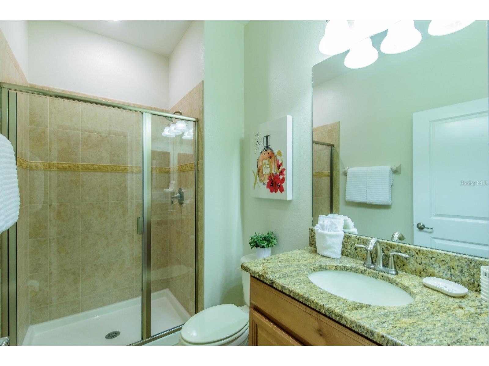 4821 Brier Rose Lane Kissimmee FL 34746 S5150099 image18