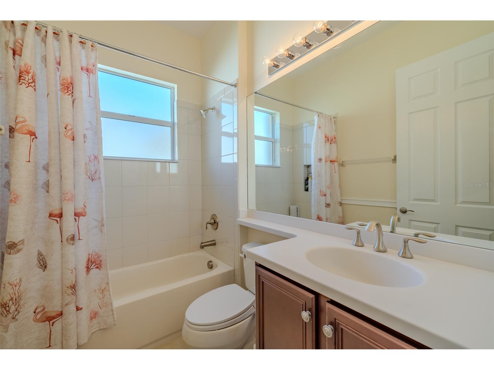 4821 Grand Banks Drive Wimauma FL 33598 TB8387688 image13