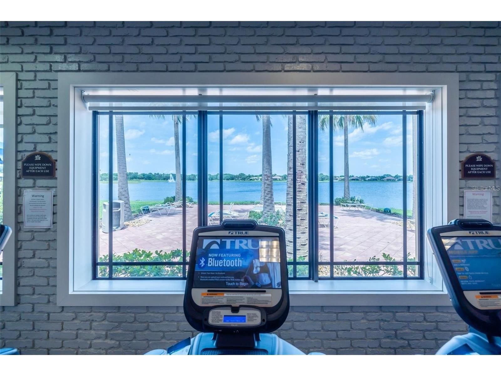 4821 Grand Banks Drive Wimauma FL 33598 TB8387688 image67