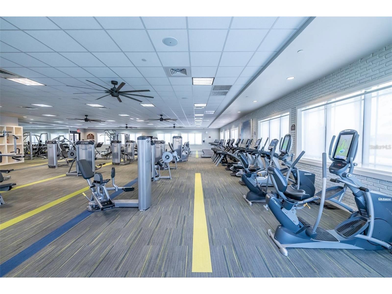 4821 Grand Banks Drive Wimauma FL 33598 TB8387688 image70