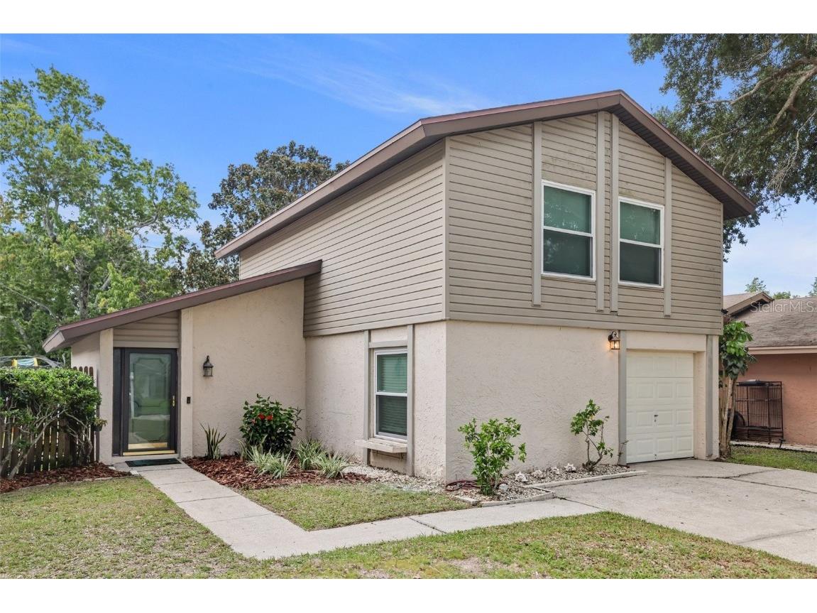 4821 Grove Point Drive Tampa FL 33624 U8250657 image1