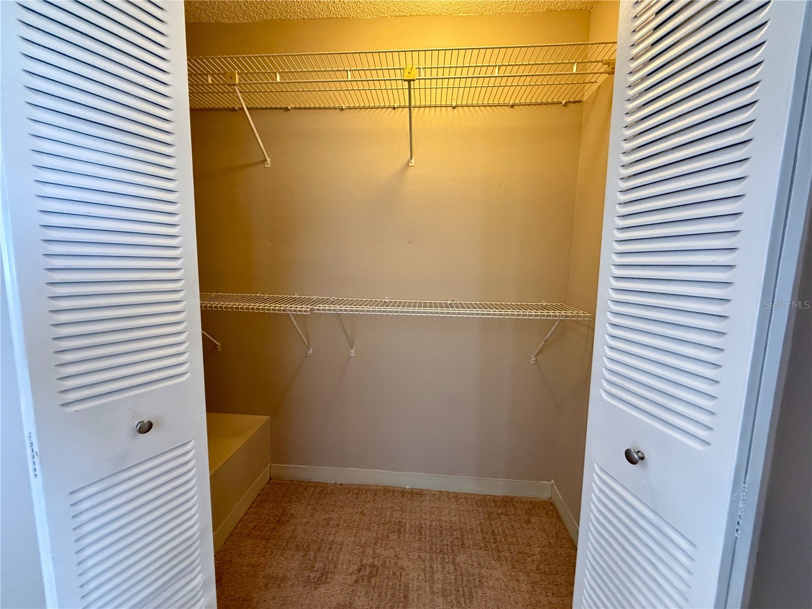4821 W Mcelroy Avenue #D210 Tampa FL 33611 TB8508253 image26