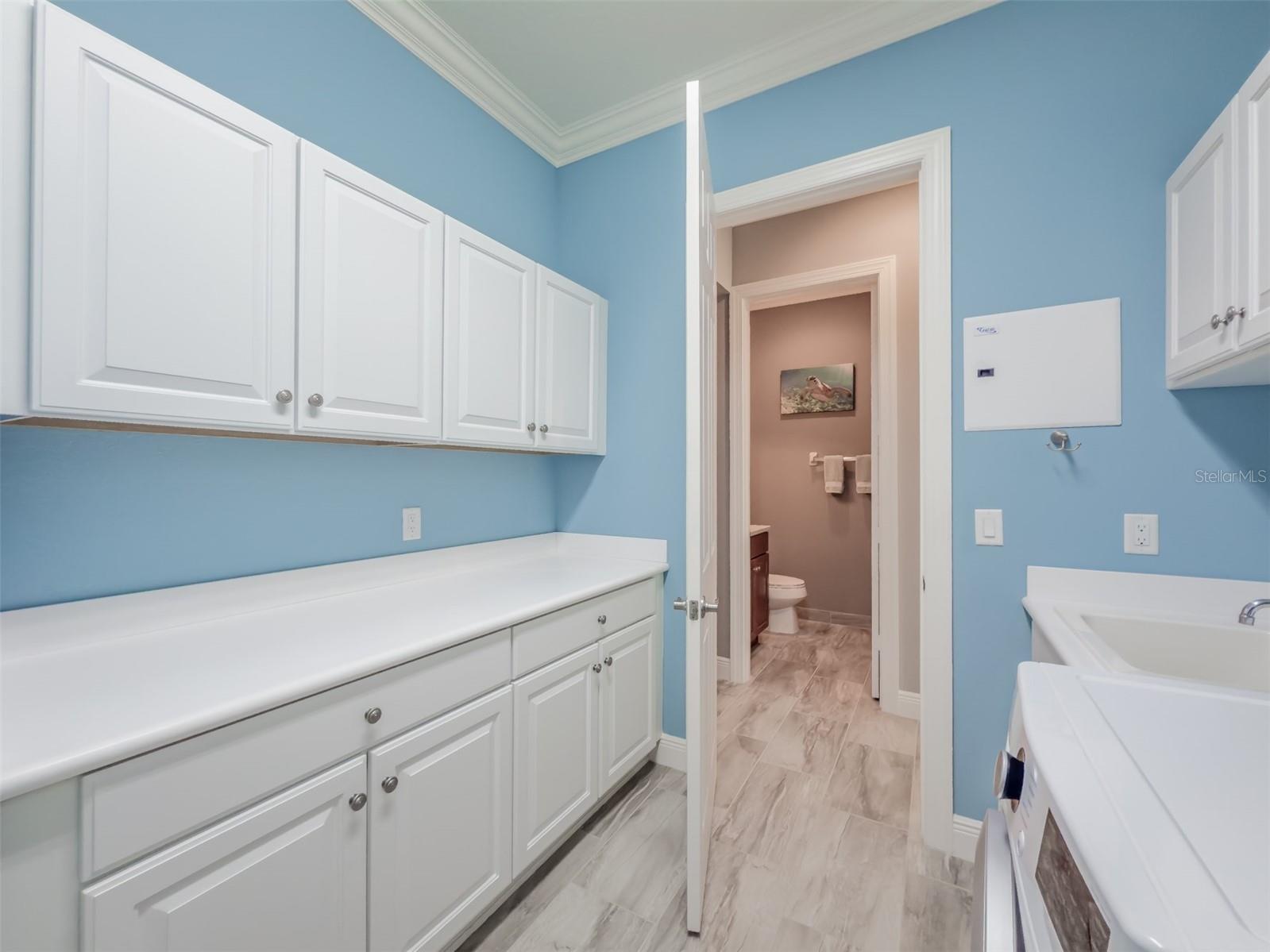 4822 Grand Banks Drive Wimauma FL 33598 TB8478643 image39