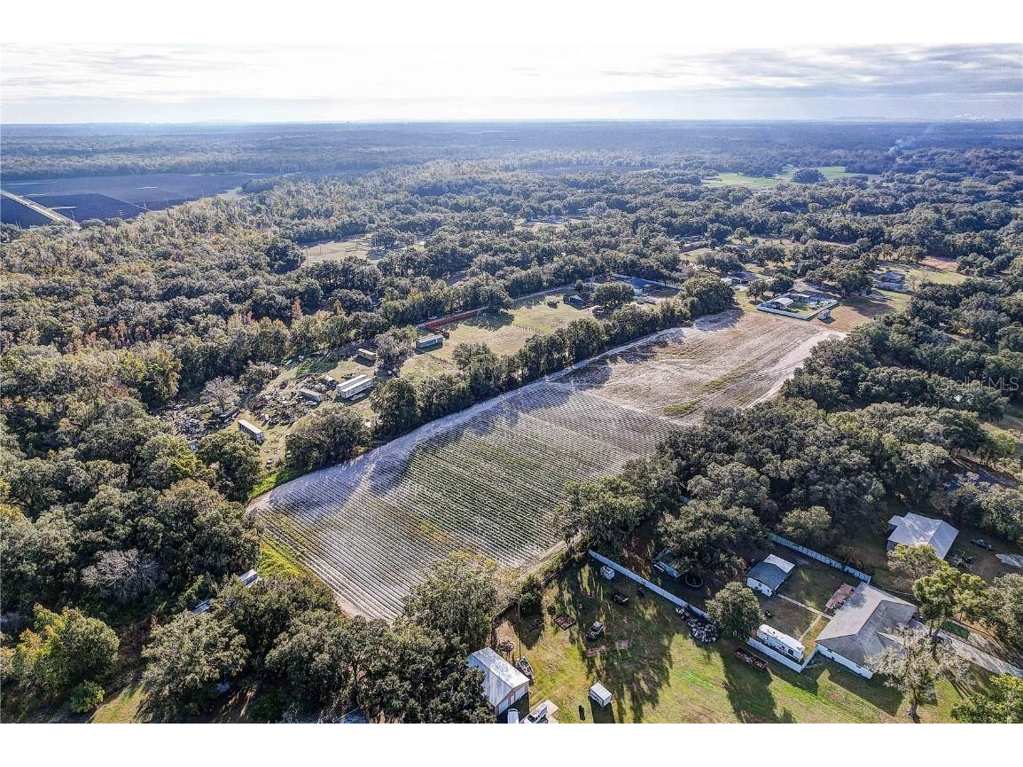 4822 Nesmith Road Plant City FL 33567 TB8454510 image16