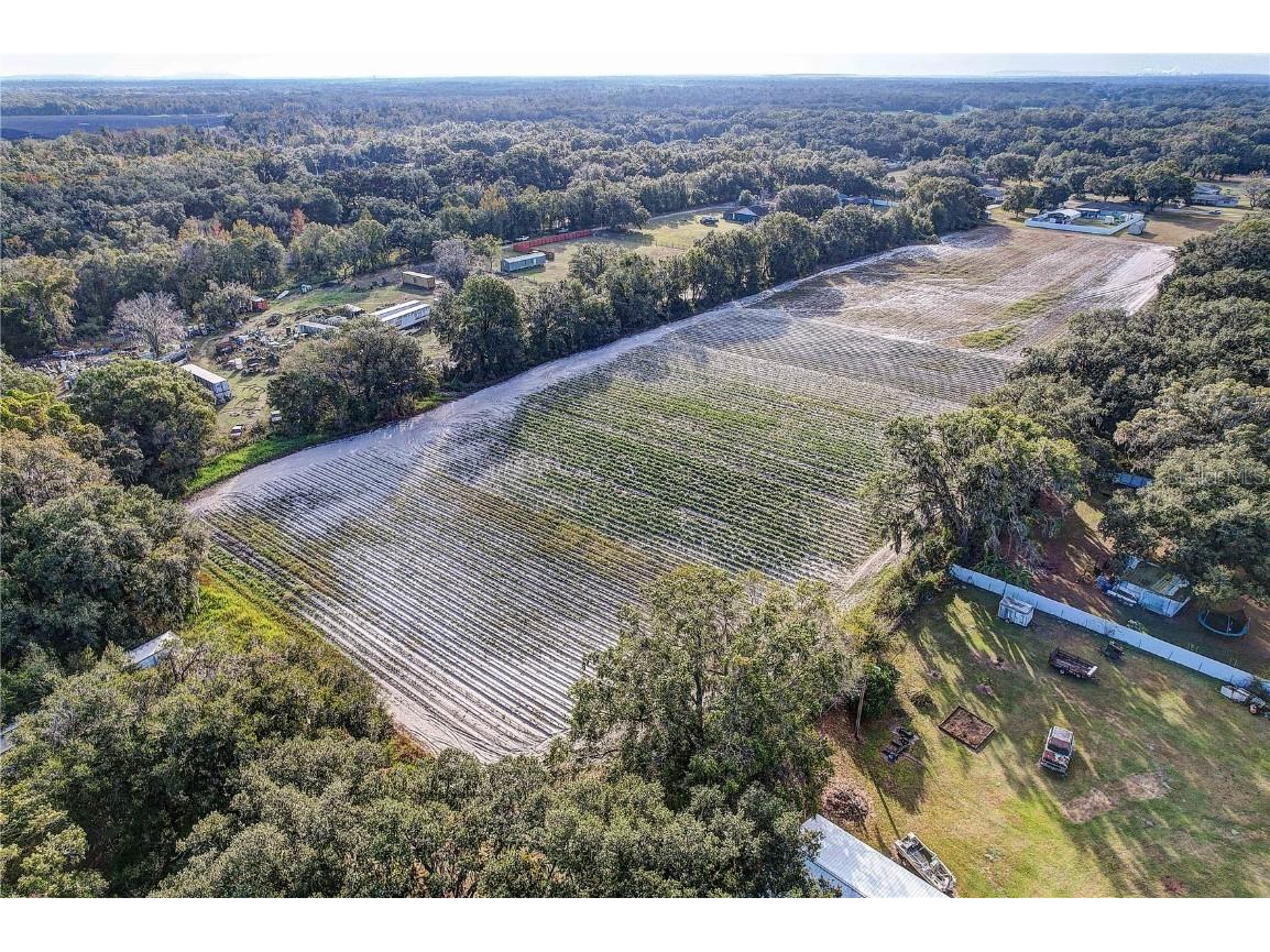 4822 Nesmith Road Plant City FL 33567 TB8454510 image17