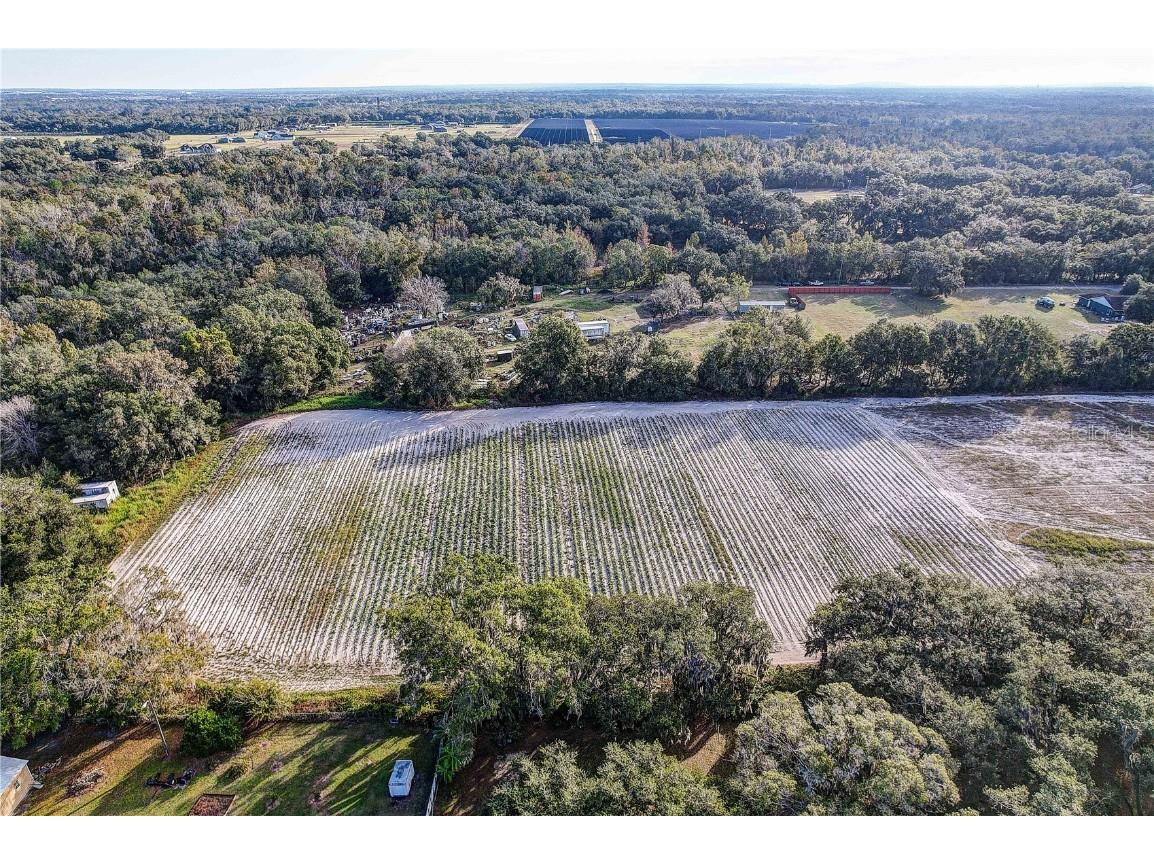 4822 Nesmith Road Plant City FL 33567 TB8454510 image18