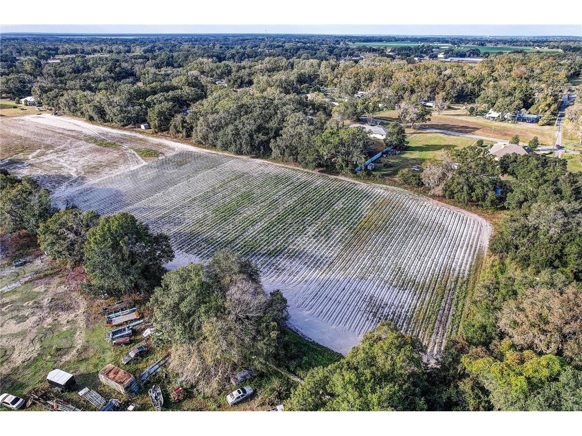 4822 Nesmith Road Plant City FL 33567 TB8454510 image8