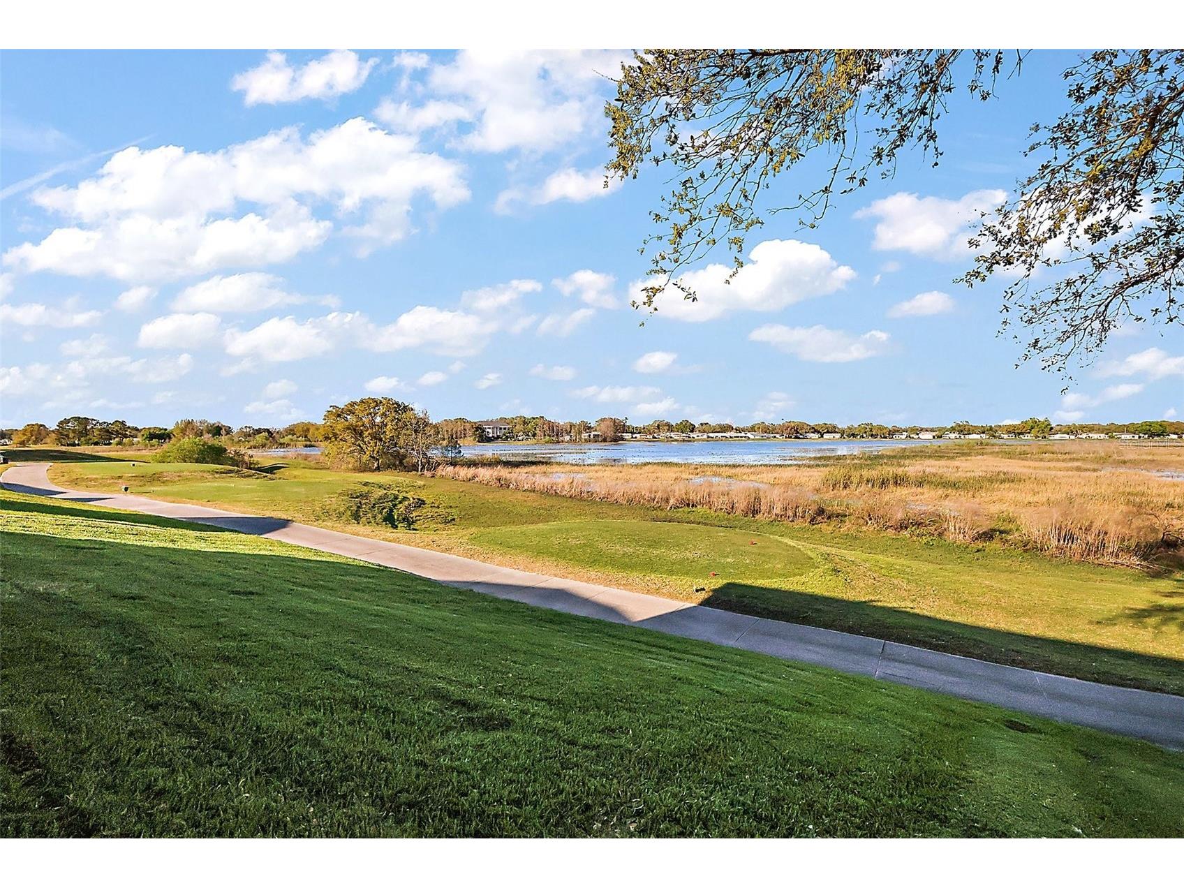 4822 Sawgrass Lake Circle Leesburg FL 34748 G5091359 image25