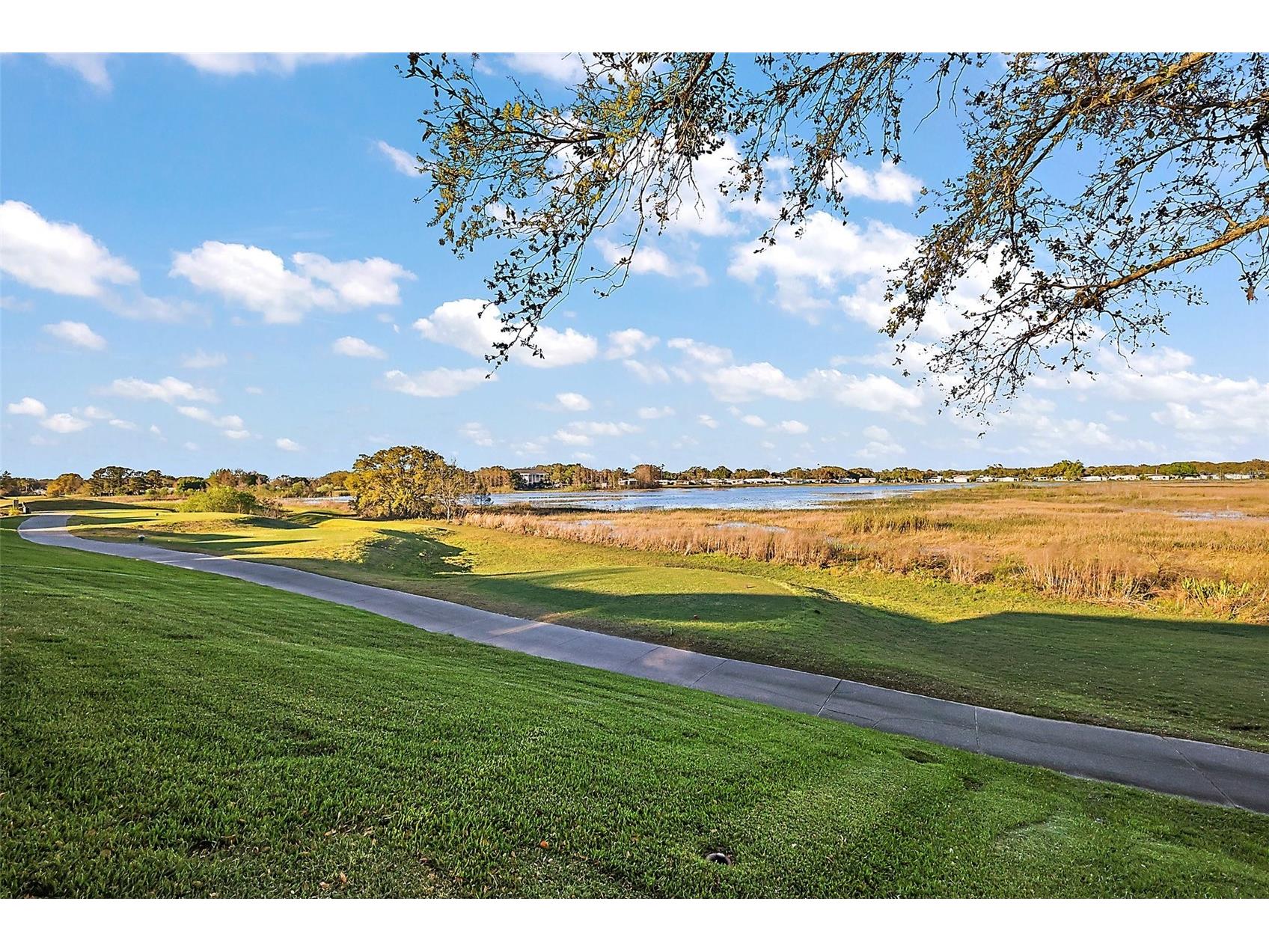 4822 Sawgrass Lake Circle Leesburg FL 34748 G5091359 image31