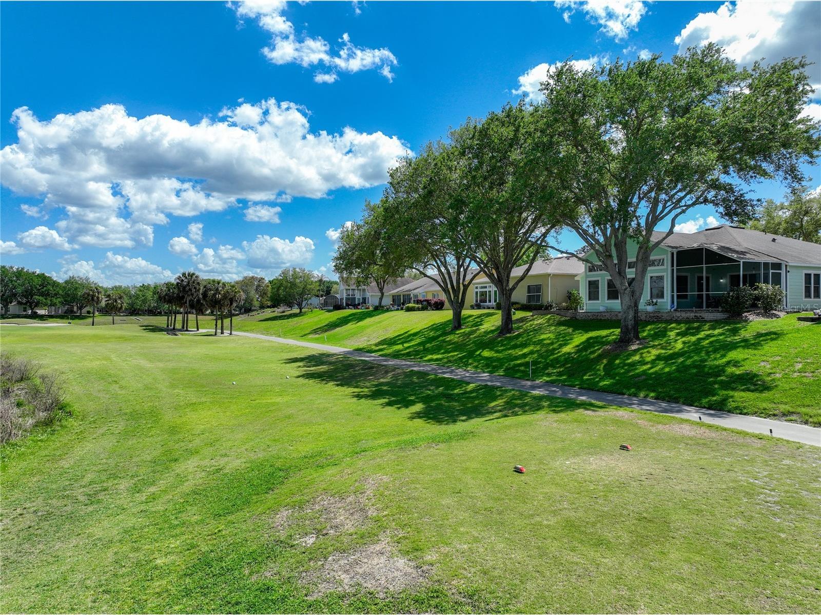 4822 Sawgrass Lake Circle Leesburg FL 34748 G5110667 image75