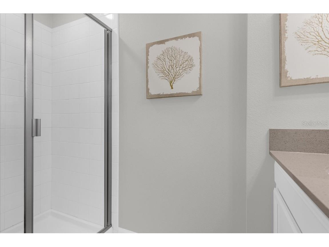 4823 Dedication Street Kissimmee FL 34746 S5136384 image28