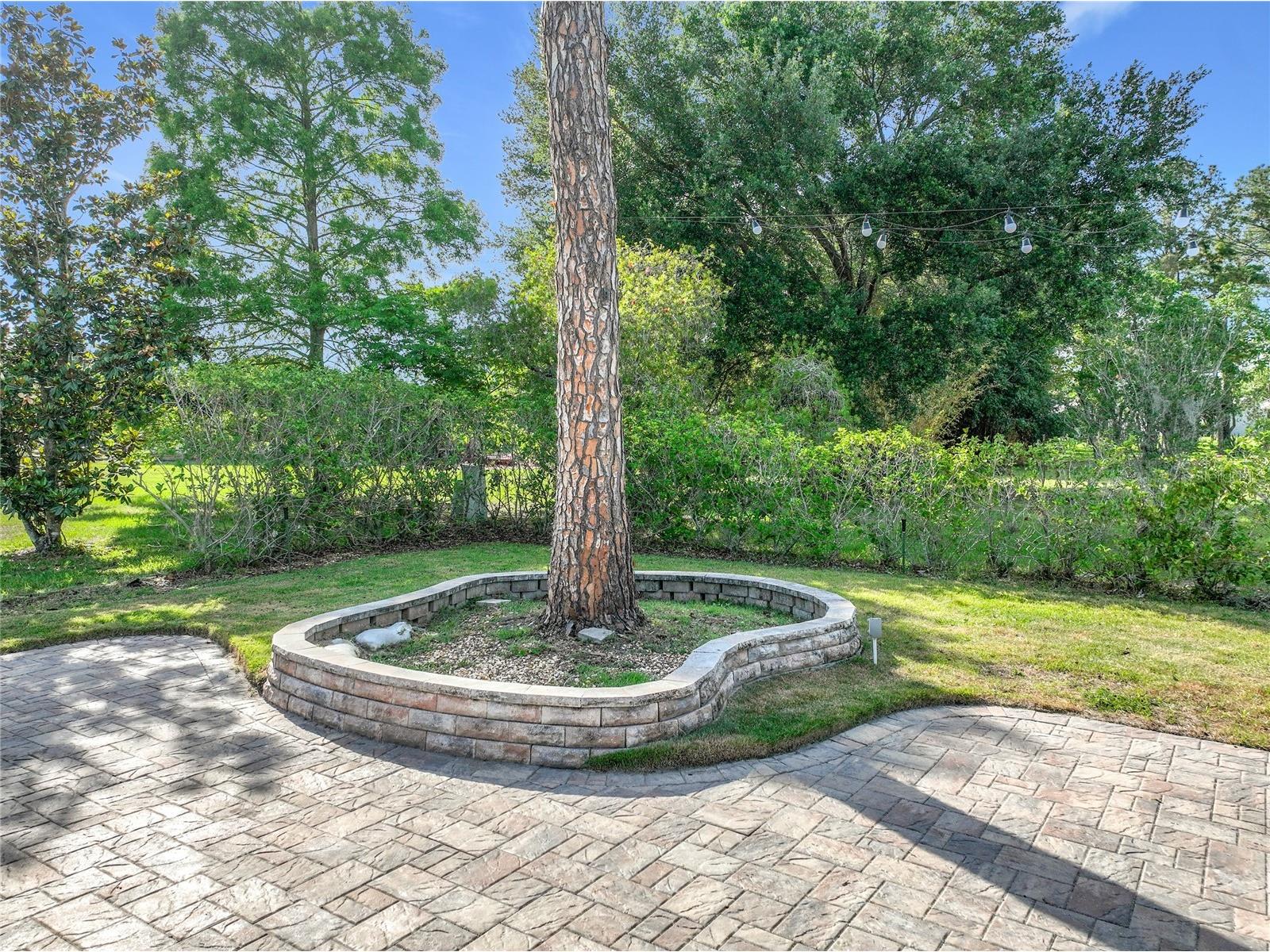 4823 Landover Circle Orlando FL 32821 O6406930 image60