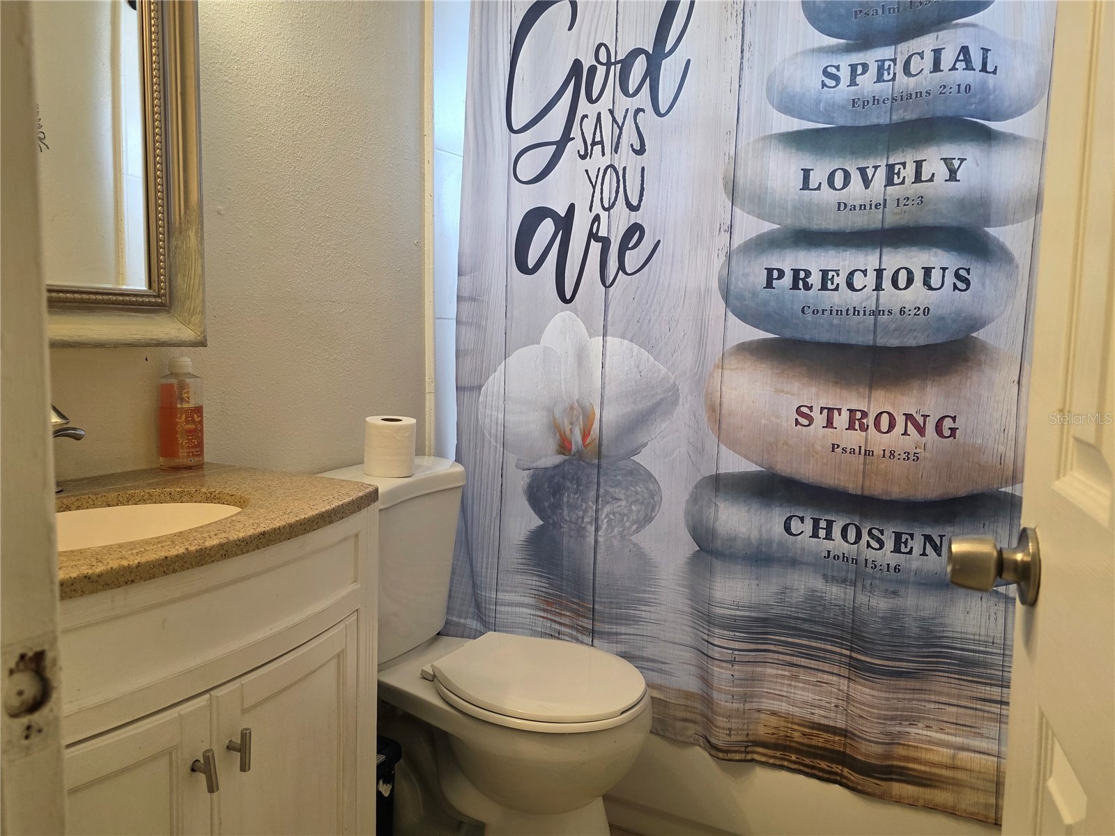 4823 Longwood Avenue Holiday FL 34690 TB8510456 image15