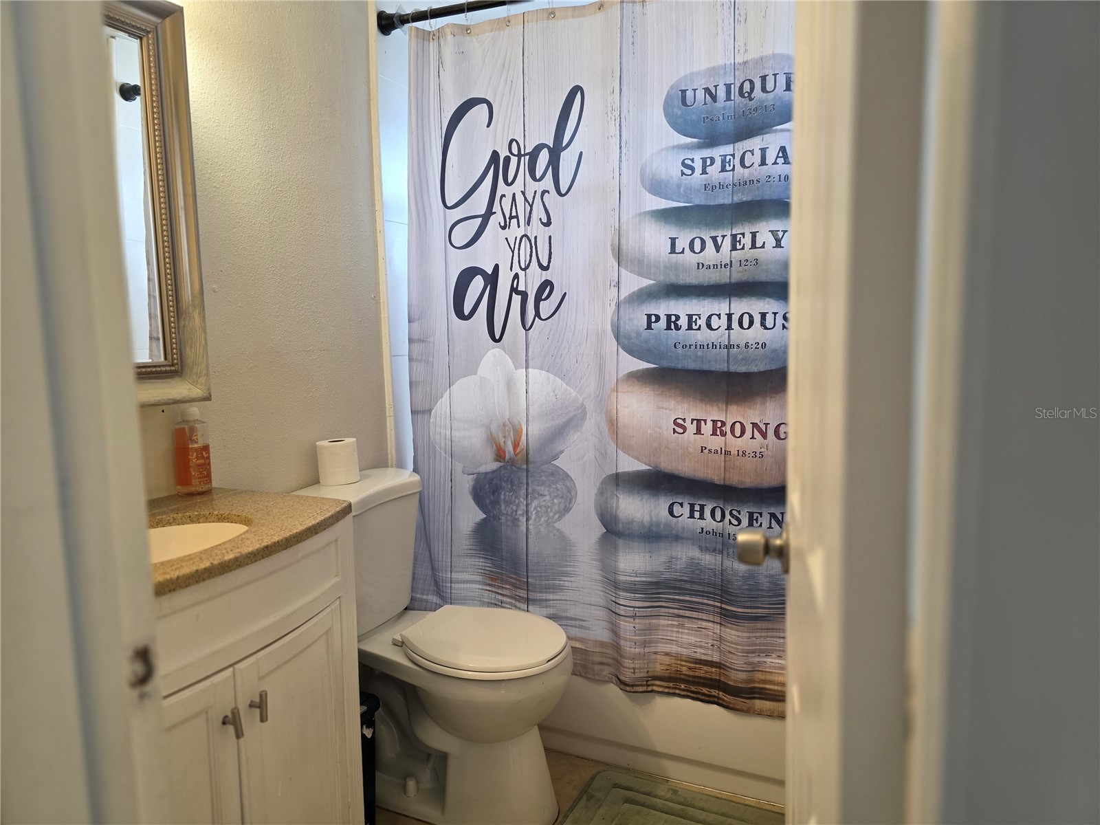 4823 Longwood Avenue Holiday FL 34690 TB8510456 image19