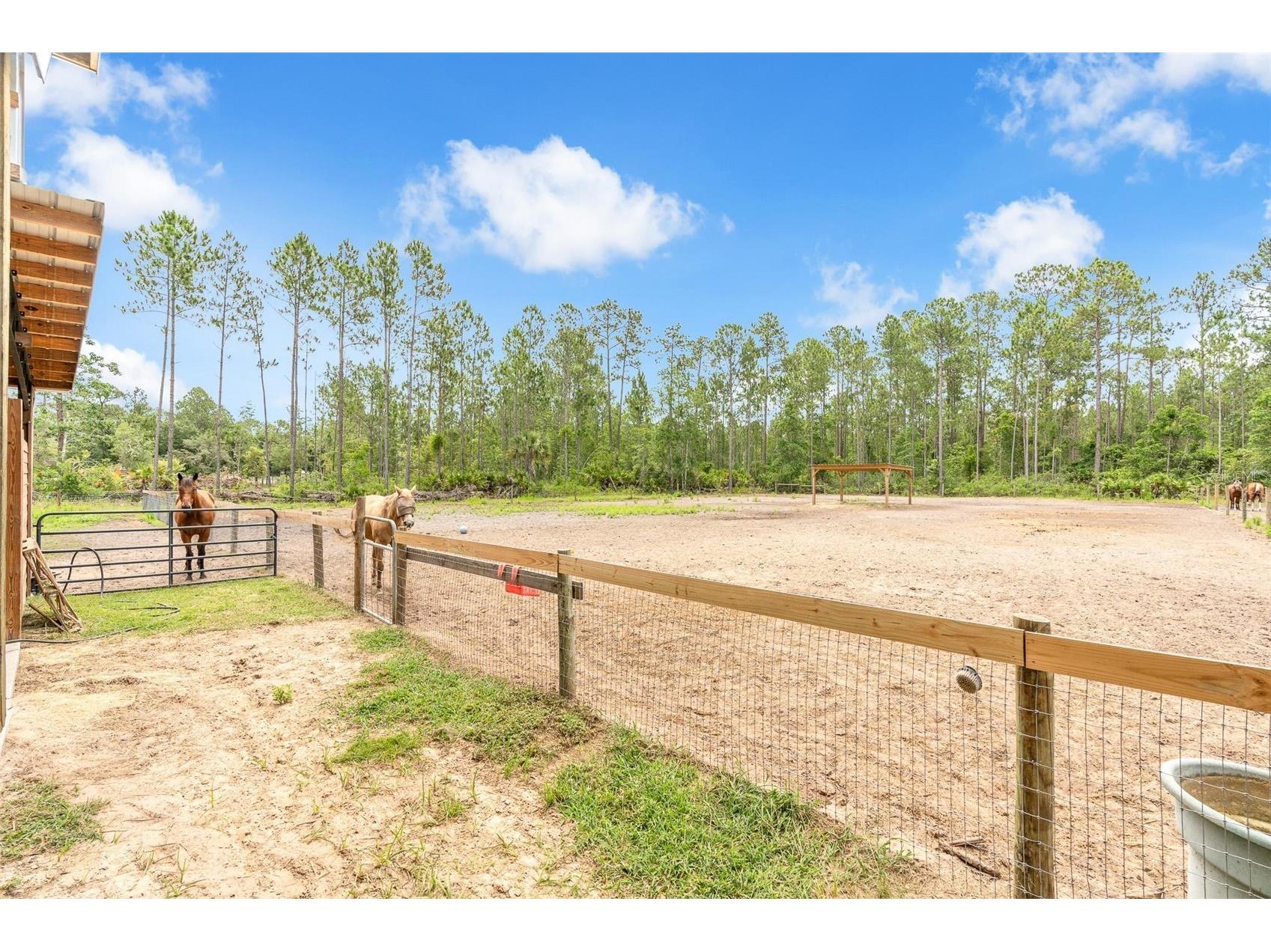 4823 Mahogany Boulevard Bunnell FL 32110 V4949453 image34
