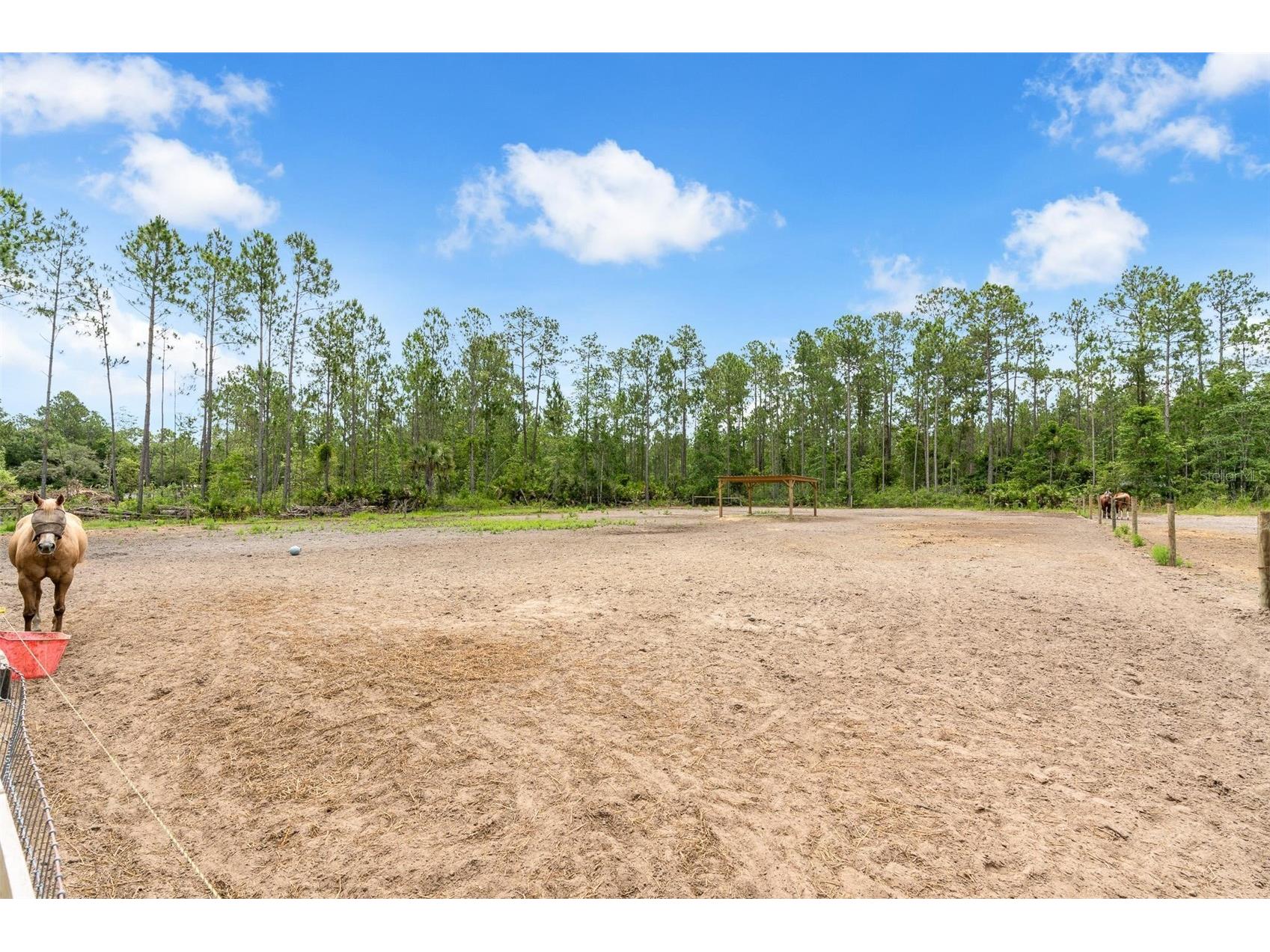 4823 Mahogany Boulevard Bunnell FL 32110 V4949453 image36