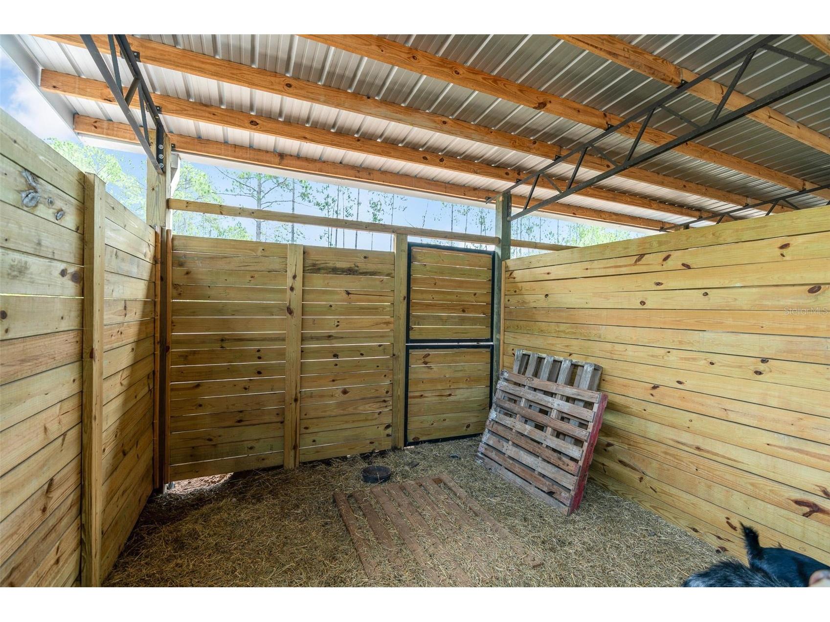 4823 Mahogany Boulevard Bunnell FL 32110 V4949453 image42