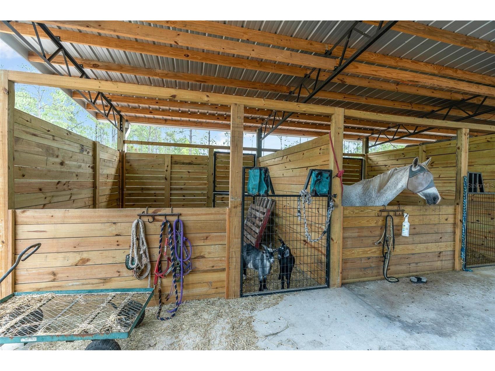 4823 Mahogany Boulevard Bunnell FL 32110 V4949453 image43