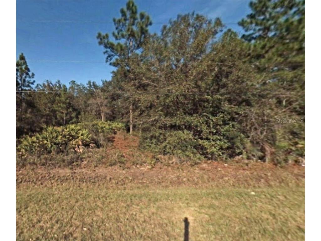 4824 Butternut Avenue Bunnell FL 32110 O6185007 image1