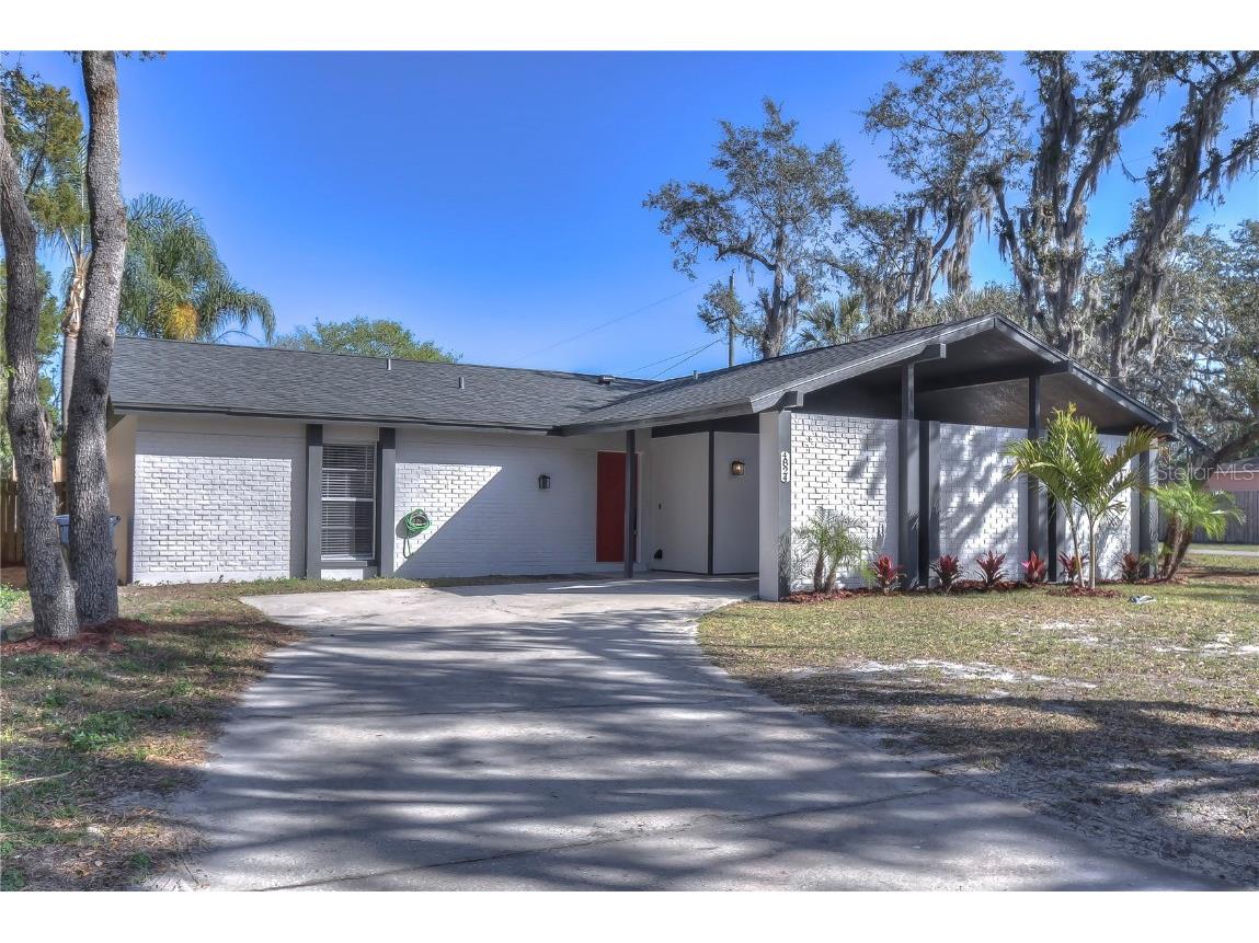 4824 E Okara Road Tampa FL 33617 T3355509 image1
