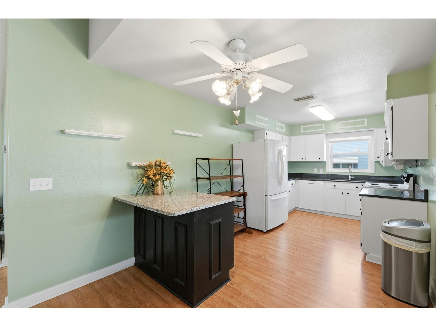 4825 Goldenview Lane Lakeland FL 33811 L4960673 image9