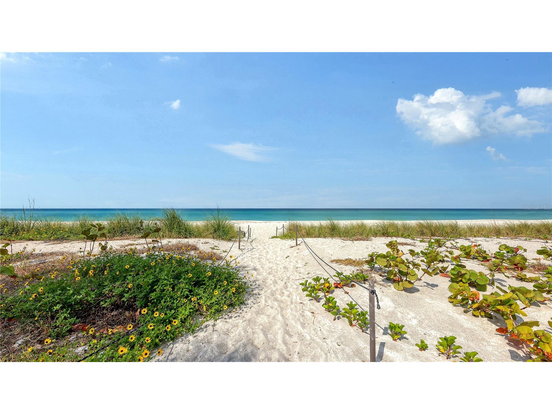 4825 Gulf Of Mexico Drive #504 Longboat Key FL 34228 - GULF OF MEXICO A4689724 image28