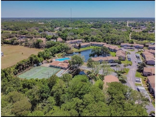 4826 Myrtle Oak Drive #11 New Port Richey FL 34653 U8240476 image1