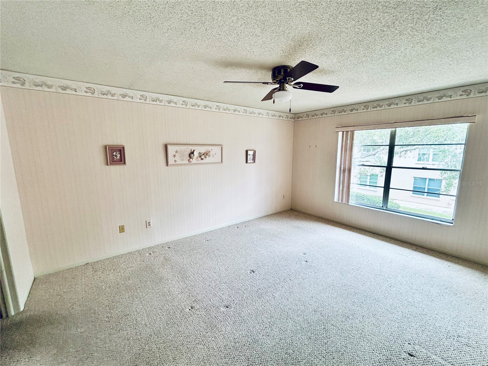 4826 Myrtle Oak Drive #23 New Port Richey FL 34653 W7882051 image11